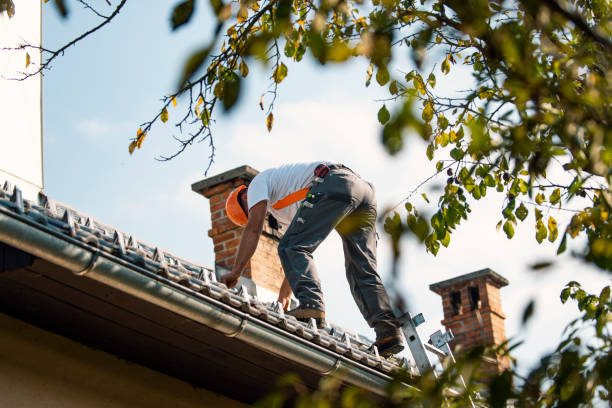 Best Roof Gutter Cleaning  in Breckenridge, MN