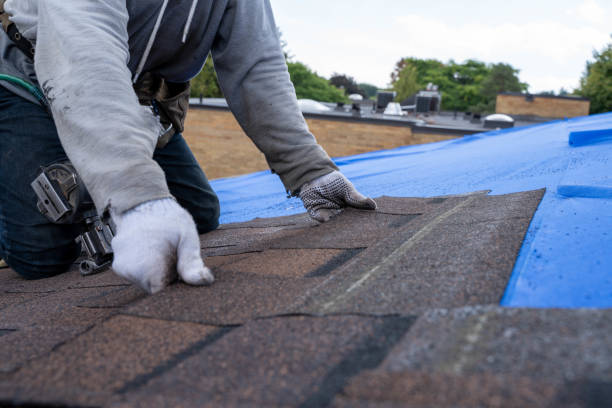 Best Slate Roofing Contractor  in Breckenridge, MN