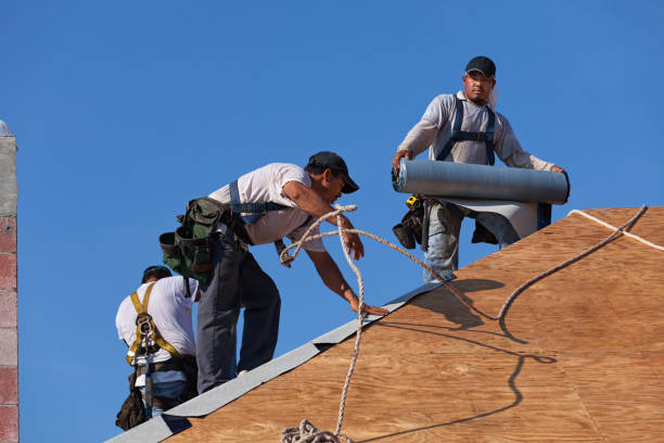 Best Roof Waterproofing Services  in Breckenridge, MN