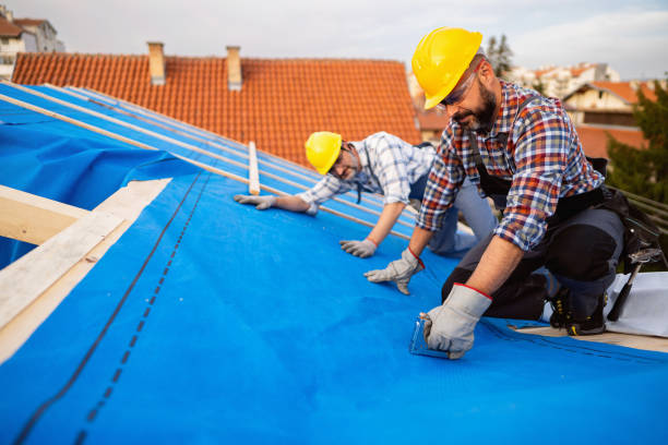 Best Roof Repair Services  in Breckenridge, MN