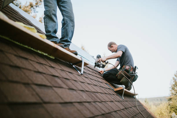 Best Roof Maintenance Services  in Breckenridge, MN
