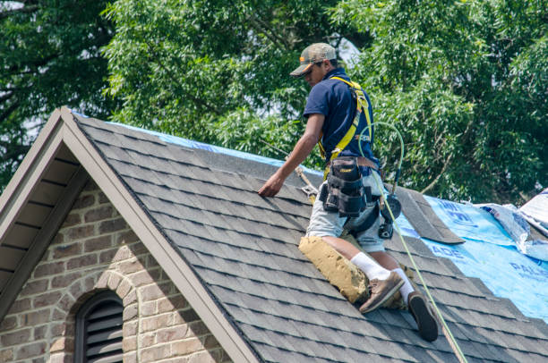 Best Roof Restoration Services  in Breckenridge, MN